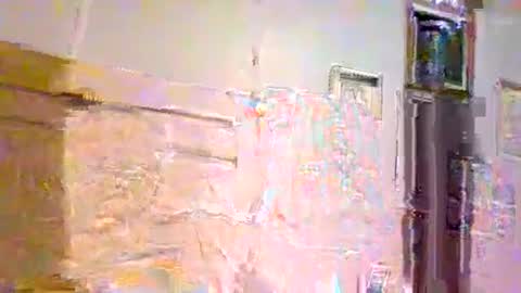 007_springer online show from 03.23.26