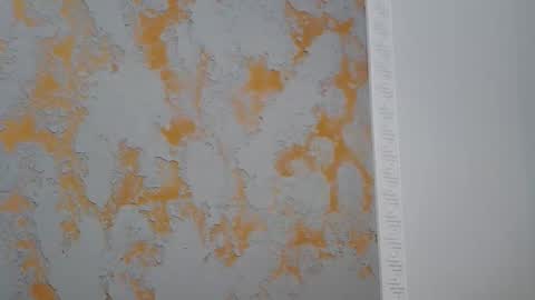 Alma online show from 04.16.26