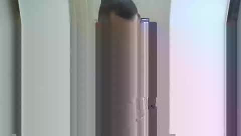 trkshmn online show from 03.01.25