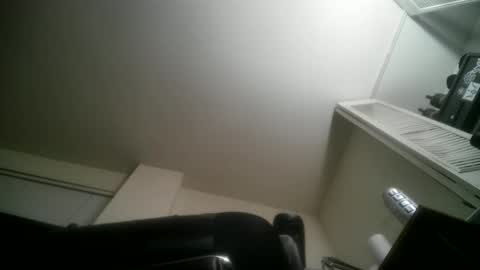 11inchtattedtrinibad online show from 03.24.26