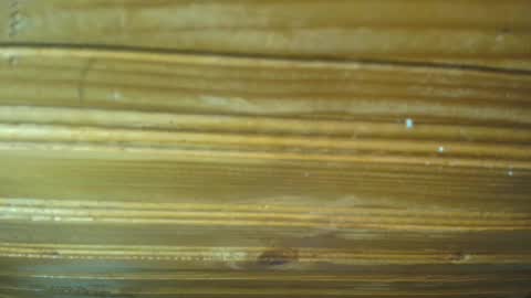 Carl the good girl online show from 02.21.25