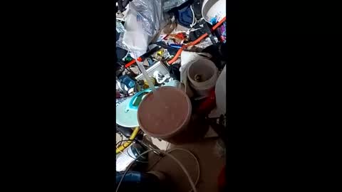 Boy In Sisters Clothes online show from 12.27.24