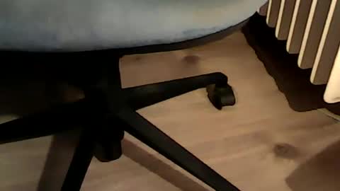 Snapshot of 1vaso chatting on 12.06.24 1vaso online show from 12.06.24