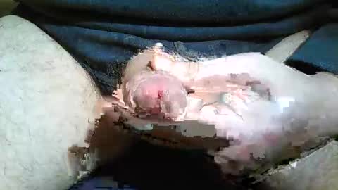 2001uwuk online show from 11.16.25