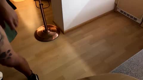 2025rob online show from 11.08.25