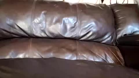 24cockrings online show from 03.02.25