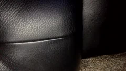 30nick online show from 01.18.26