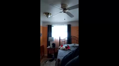 32666damon online show from 12.14.25