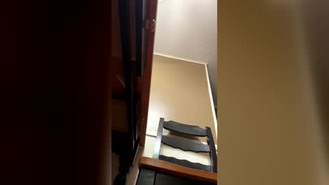 33adidas online show from 01.09.26