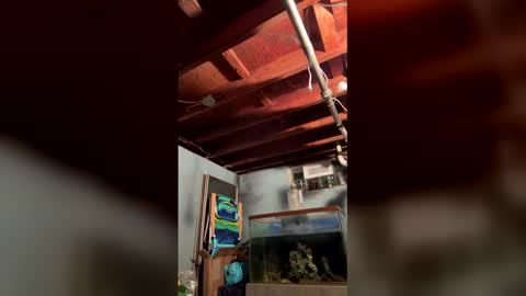 33adidas online show from 03.27.26