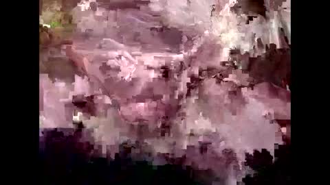 Snapshot of 4kbrandon2fck chatting on 01.30.25 Kyle Brandon online show from 01.30.25