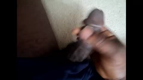 559lark online show from 04.20.26