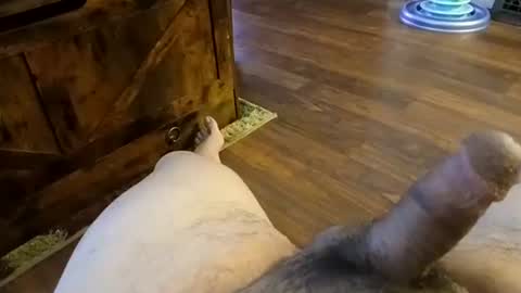 5tone_bon3 online show from 01.20.25