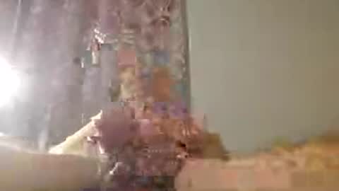Zeus online show from 07.15.26