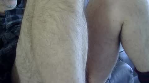 Snapshot of 66bear chatting on 02.08.25 66bear online show from 02.08.25