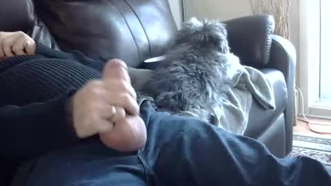 Snapshot of 66bear chatting on 03.02.25 66bear online show from 03.02.25