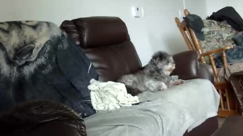 Snapshot of 66bear chatting on 12.21.25 66bear online show from 12.21.25