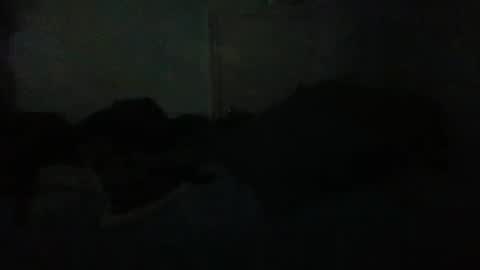 69696977 online show from 04.01.26