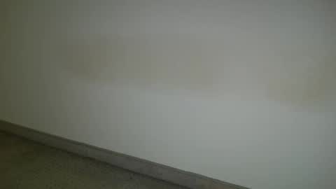 69___pas online show from 12.05.24