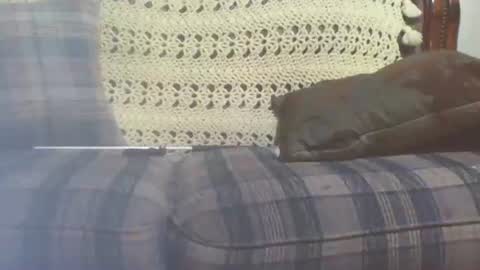 69sextoyboy69 online show from 01.25.25