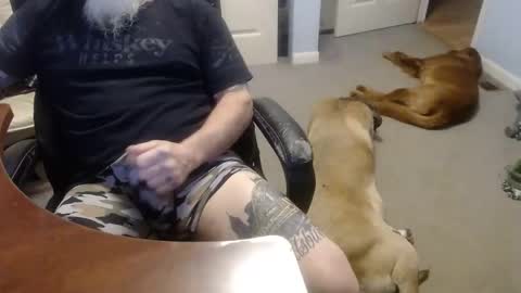 MASTIFF online show from 10.13.25