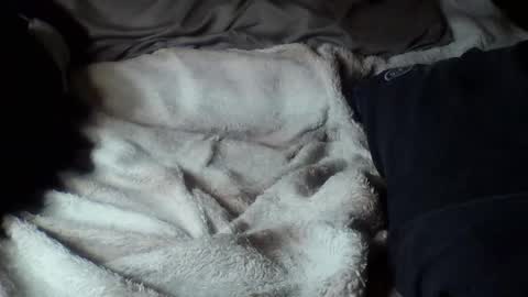 Snapshot of 8675309r2d2 chatting on 09.16.25 8675309r2d2 online show from 09.16.25