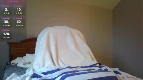 DildoRidingDilf online show from 02.24.26