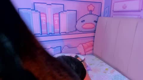 Alice  online show from 12.28.24