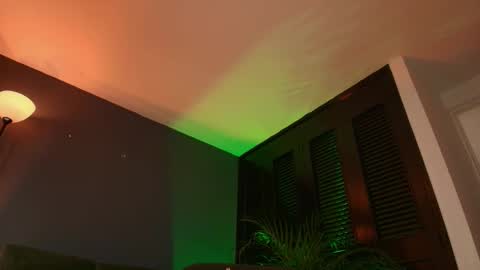 Ana  online show from 02.19.26