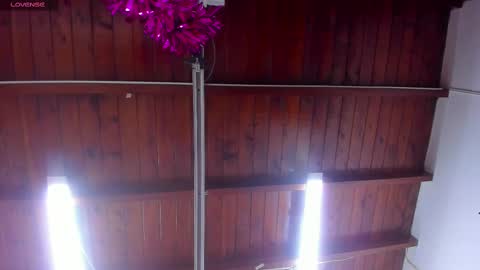 Snapshot of _aniisha_ chatting on 02.28.25 Any online show from 02.28.25