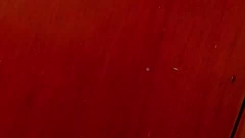 Snapshot of _aniisha_ chatting on 10.04.25 Any online show from 10.04.25