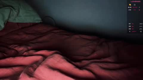 Snapshot of _anise_ chatting on 10.18.25 Anise online show from 10.18.25