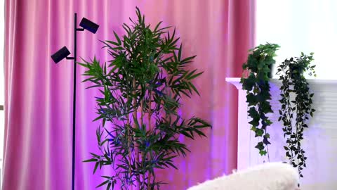 Arielle online show from 12.19.24