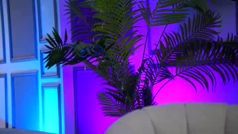 Arielle online show from 02.16.26