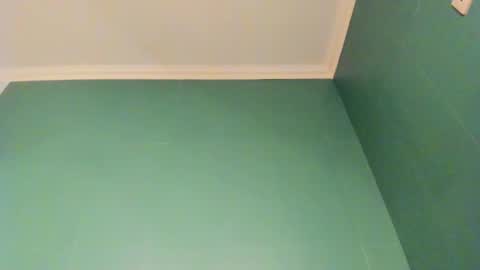 Snapshot of _ashley_collin_ chatting on 11.24.25 Sofia online show from 11.24.25