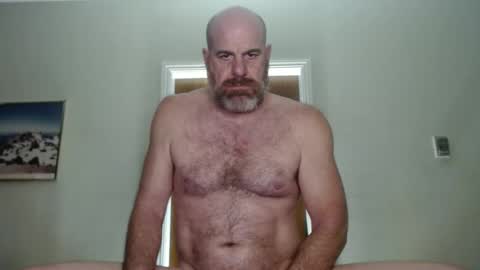 Bacchus online show from 02.08.25