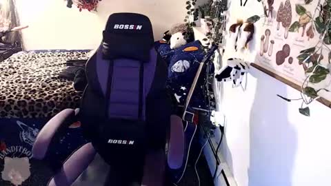 Snapshot of _bandit_b0y chatting on 02.22.26 bandit online show from 02.22.26