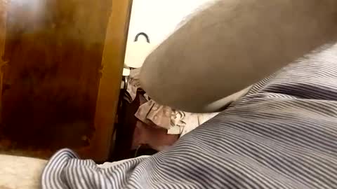 _black_horse_1 online show from 01.24.25