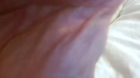 _black_horse_1 online show from 10.18.25