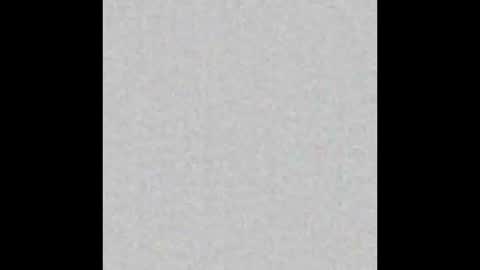 Brenda online show from 10.25.25