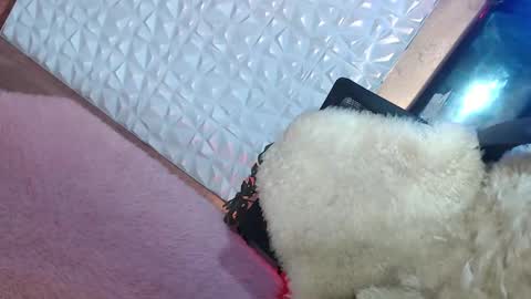 Caroline online show from 01.19.25