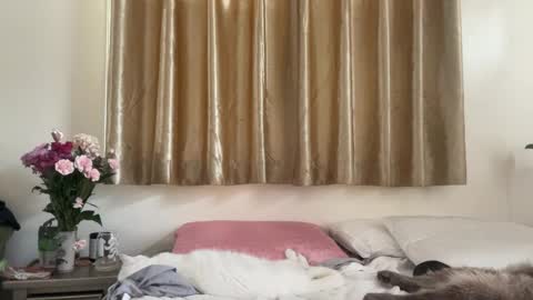 Chelsea xo online show from 02.16.25