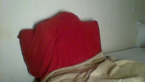 Snapshot of _clara01 chatting on 01.30.25 clara online show from 01.30.25