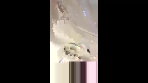 Da d1ck online show from 03.02.25