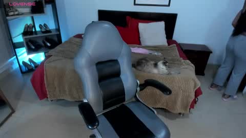 Dani online show from 03.12.25