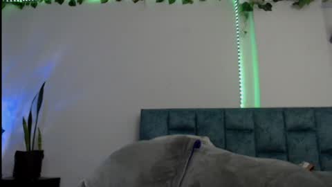 Dannia online show from 01.23.25