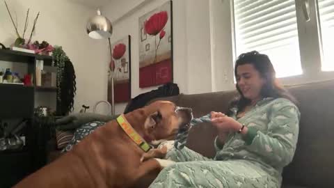 Snapshot of _elena_barra chatting on 11.29.25 elena barra online show from 11.29.25