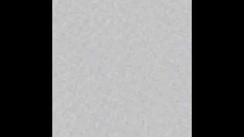  Kendall online show from 11.13.25