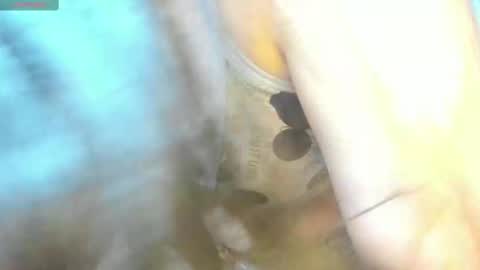 Mily online show from 02.15.25