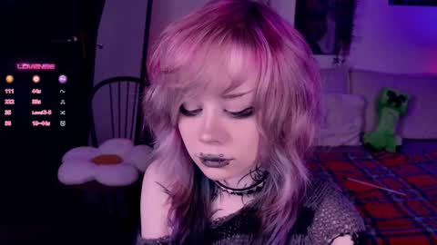 Lolly online show from 11.07.25